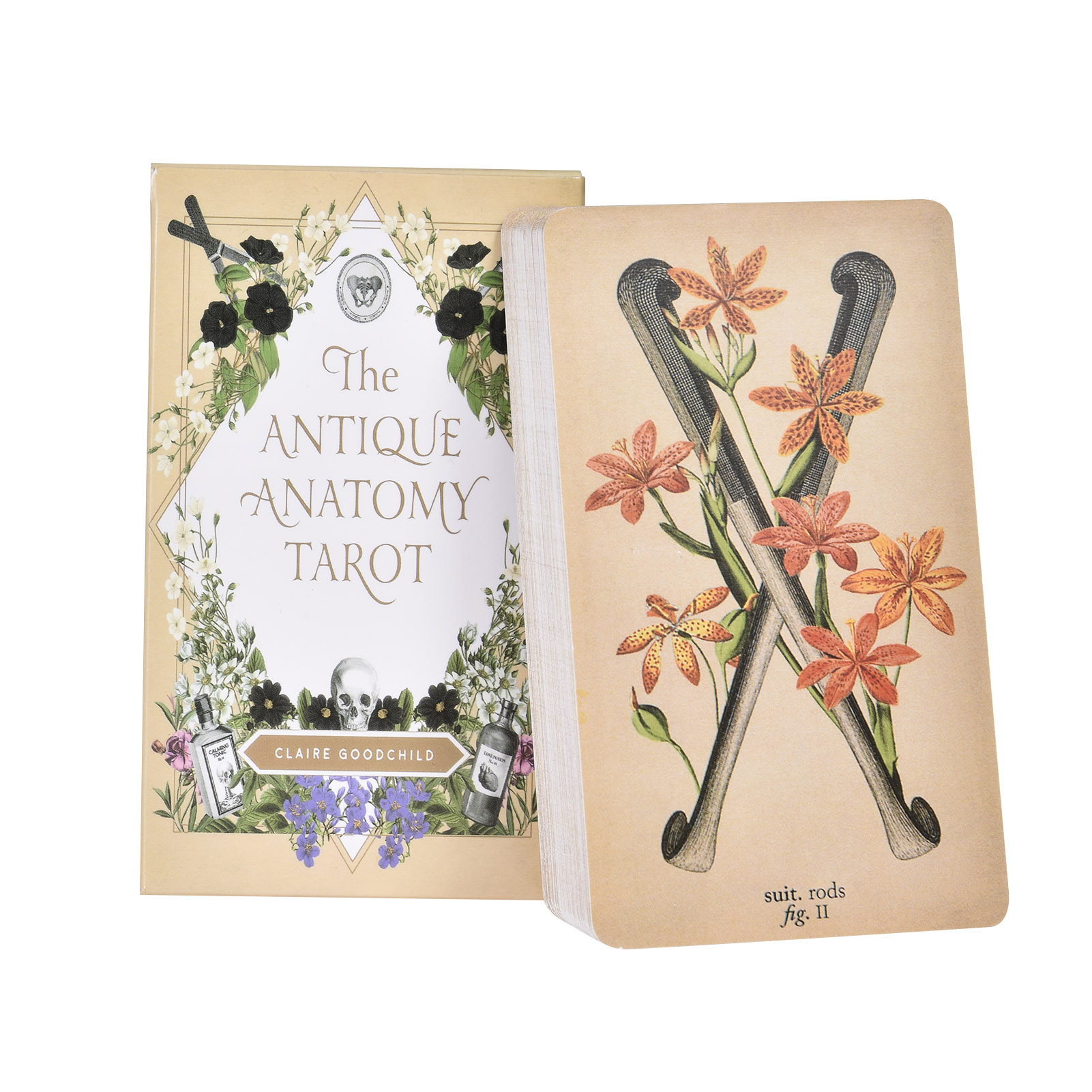 Tarot Deck With Guidebook - ไพ่ทาโรต์ 