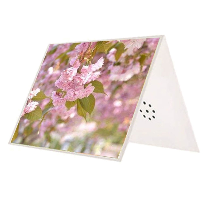 การ์ดอวยพร DIY พูดคุยเขียนได้ด - Blank Sheet Music Notebook บทวิจารณ์และราคา